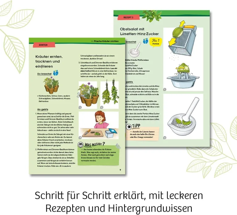 KOSMOS 632090 - Kräuter-Garten, Züchte duftende Kräuter auf der Fensterbank, Mit Gewächshaus und Mörser aus Porzellan, Experimentierkasten für Kinder ab 6 Jahre – Bild 5