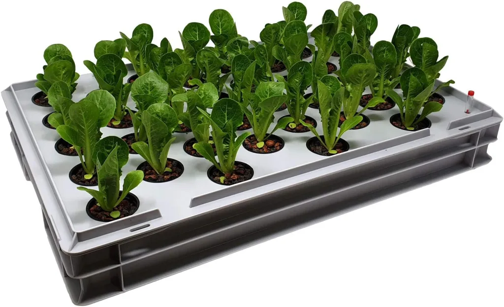 GREEN24 Aqua 36-A Pro Hydroponic Anzucht-System XL 40 x 60 cm Hydrokultur Indoor Pflanzen-Aufzucht für Nutzpflanzen, Gemüse, Kräuter, Salate, Zierpflanzen in Tiefwasserkultur