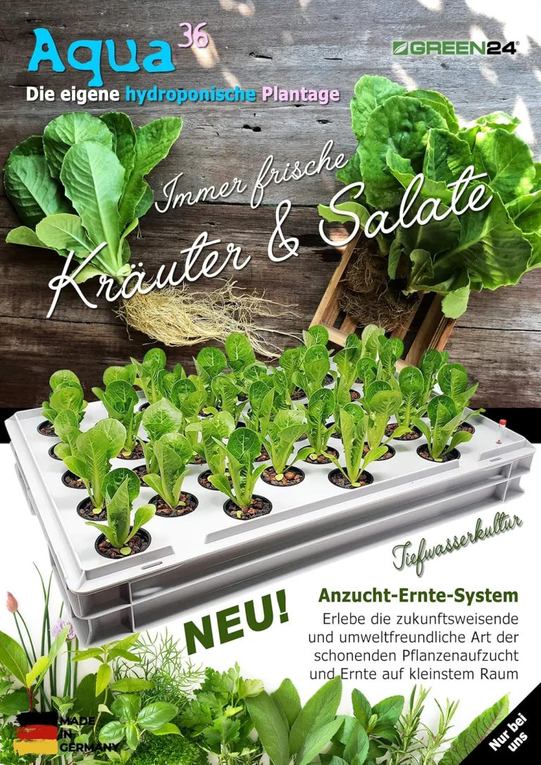 GREEN24 Aqua 36-A Pro Hydroponic Anzucht-System XL 40 x 60 cm Hydrokultur Indoor Pflanzen-Aufzucht für Nutzpflanzen, Gemüse, Kräuter, Salate, Zierpflanzen in Tiefwasserkultur – Bild 2