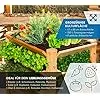 WESTMANN Premium Hochbeet aus Lärchenholz | Natur | 66x91x73 cm | Kräuterbeet für den Außenbereich | Holzhochbeet zum Bepflanzen von Gemüse & Kräutern - Thumbnail 2