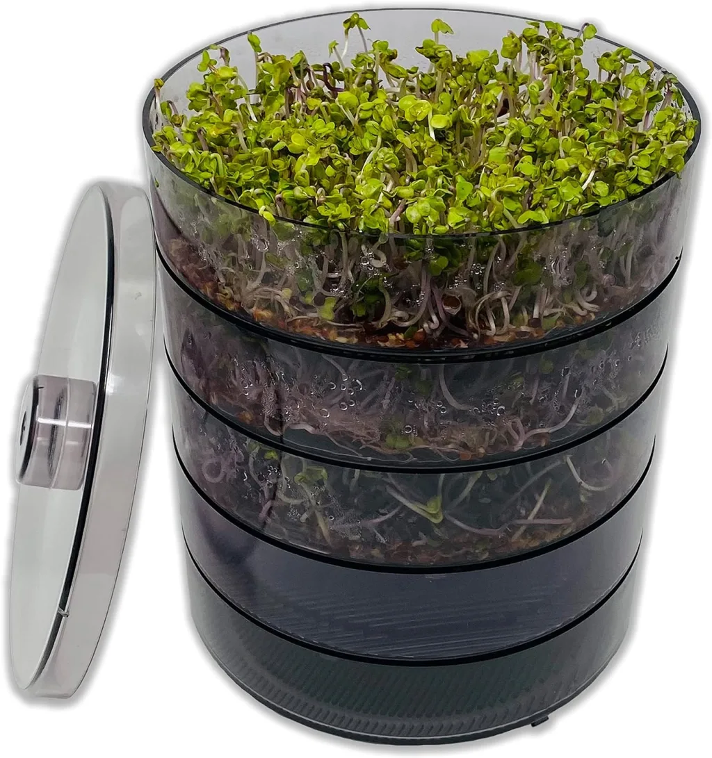 SaatPur® Keimsprossenbox Set 4 mit Vier Etagen als Sprossen Keimgerät: Sprossen Anzucht sowie Microgreens Anzuchtschalen. Keimbox, Keimschale, Keimschachtel, Sprossenbox, Sprossenhaus, Keimgerät