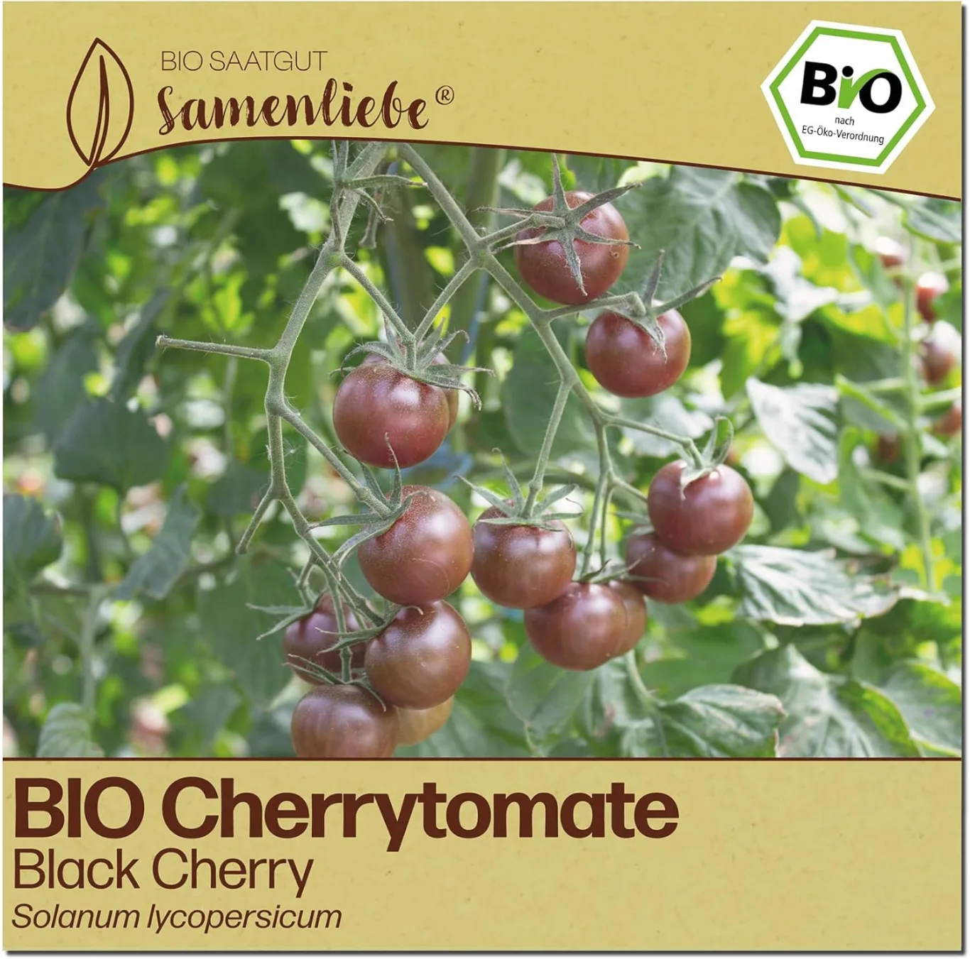 Samenliebe BIO Cherrytomaten Samen | Tomate Black Cherry - süß & klein - samenfestes BIO Saatgut - Bild 1