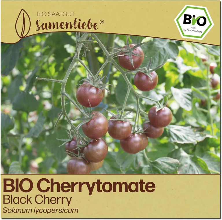 Samenliebe BIO Cherrytomaten Samen | Tomate Black Cherry - süß & klein - samenfestes BIO Saatgut – Bild 1