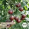 Samenliebe BIO Cherrytomaten Samen | Tomate Black Cherry - süß & klein - samenfestes BIO Saatgut - Thumbnail 2