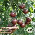 Samenliebe BIO Cherrytomaten Samen | Tomate Black Cherry - süß & klein - samenfestes BIO Saatgut - Thumbnail 6