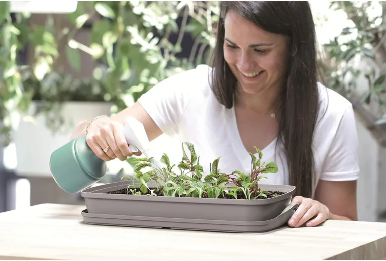 Prosperplast Respana Table Greenhouse Zimmergewächshaus Anzuchtschale Tisch-Frühbeet (Anthrazit) – Bild 4