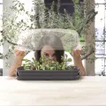 Prosperplast Respana Table Greenhouse Zimmergewächshaus Anzuchtschale Tisch-Frühbeet (Anthrazit) - Thumbnail 3