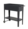 Metall Hochbeet fahrbar 75x35x80 cm - Mobiler Pflanzkasten mit Ablage und Rollen - Fahrbares Garten Pflanzbeet Gemüse Beet Kräuterbeet - Thumbnail 2