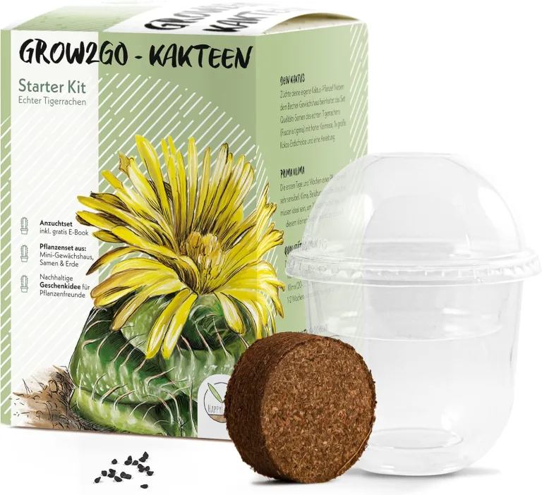 GROW2GO Kakteen Starter Kit Anzuchtset - Pflanzset aus Mini-Gewächshaus, Kaktus Samen & Erde - nachhaltige Geschenkidee für Pflanzenfreunde (Echter Tigerrachen) – Bild 1