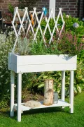 dobar® 58186e rollbares Hochbeet mit Rankgitter | Pflanzkasten auf Rollen | Blumenbeet aus Massiv-Holz | Schmales Kräuterbeet für Garten/Terrasse/Balkon | 79 x 28,5 x 130 cm | Weiß - Thumbnail 6