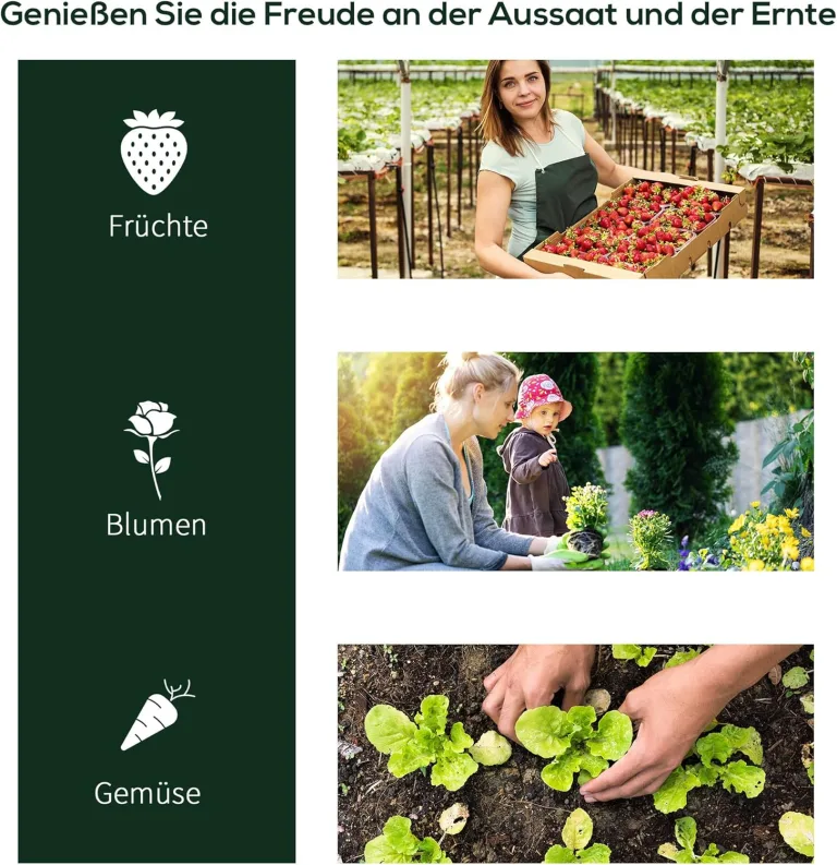 Outsunny Gewächshaus mit Rollfenster winterfest Foliengewächshaus aus Stahl wasserabweisend Treibhaus für Balkon Garten Tomatenhaus mit UV schutz 250x100x80cm Tomatengewächshaus für Gemüse Transparent – Bild 6