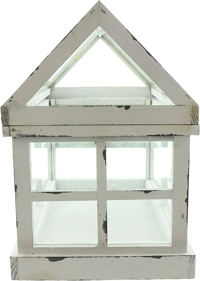 Mini-Gewächshaus “Shabby”, 37x21x31 cm, kleines Terrarium, Treibhaus, Zimmergewächshaus Weiß – Bild 7