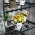 Bramble - Premium Garten Foliengewächshaus für Balkon & Terrasse mit 3 Etagen, Stahlrahmen & Verstärkter PVC-Abdeckung - Stabil & Einfach zu Montieren - 125x69x49cm - Thumbnail 9