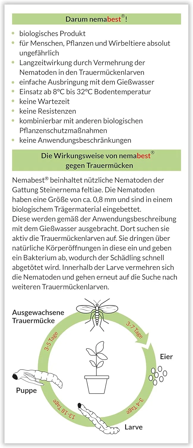 SF Nematoden 6 Mio. (60 Pflanzen/12m²) gegen Trauermücken – Bild 2