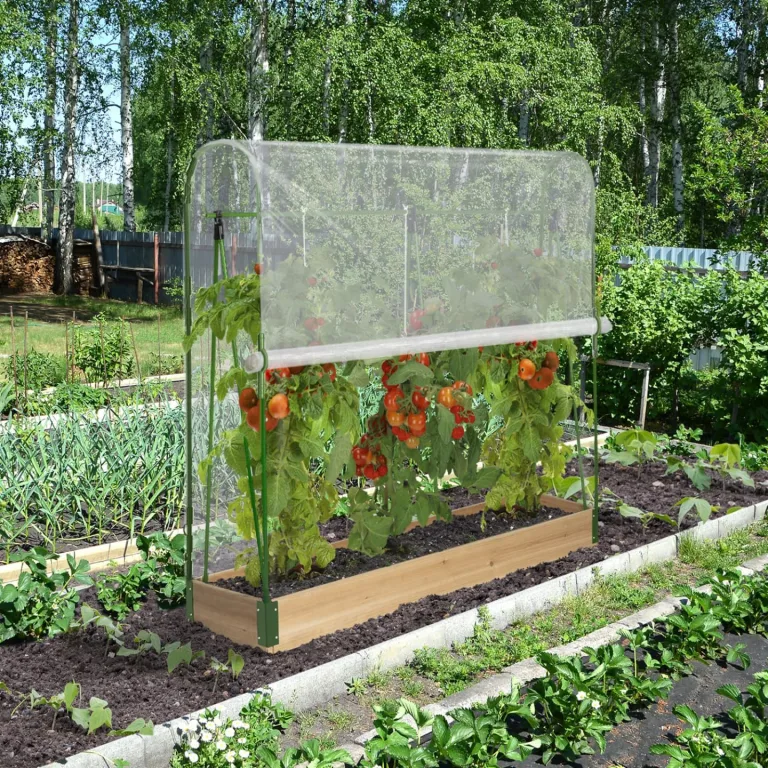 IDMarket - Spezielles Tomatengewächshaus für Wachstum Komplettset aus Plane + Halterung – Bild 7