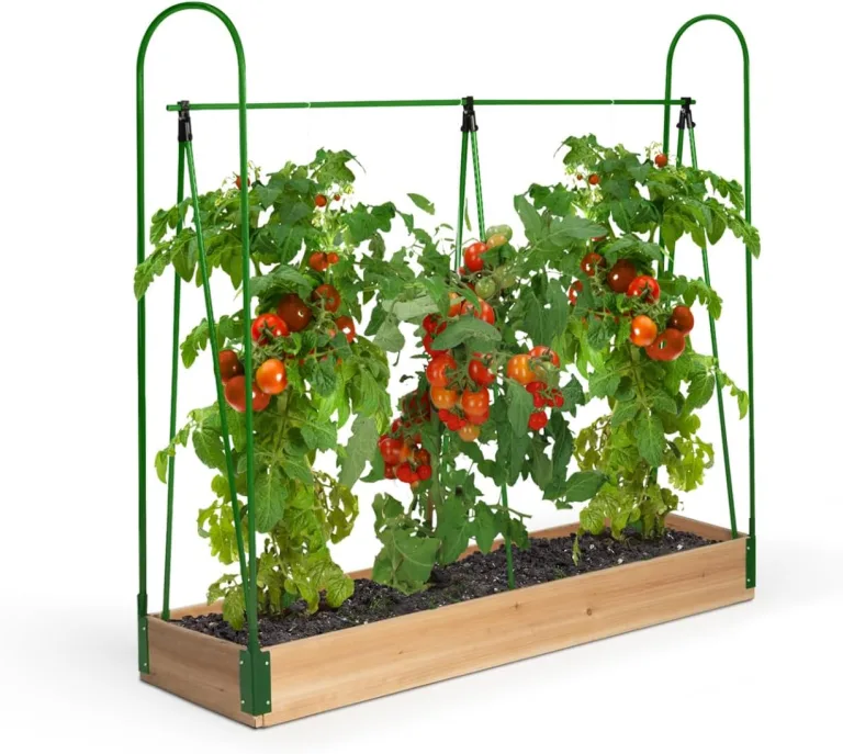 IDMarket - Spezielles Tomatengewächshaus für Wachstum Komplettset aus Plane + Halterung – Bild 9