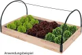 DEMA Foliengewächshaus Folienfrühbeet Gewächshaus Frühbeet Treibhaus mit Holzrahmen - Thumbnail 3