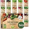 BIO Gartenjahr Samen Set I Gemüsesamen das ganze Jahr I 12 Monate Samen Gemüse I Gemüsesamen Set für Hochbeet, Balkon und Garten I Samen Set mit Gemüse Saatgut I 12er BIO Pflanzensamen Set – Bild 2