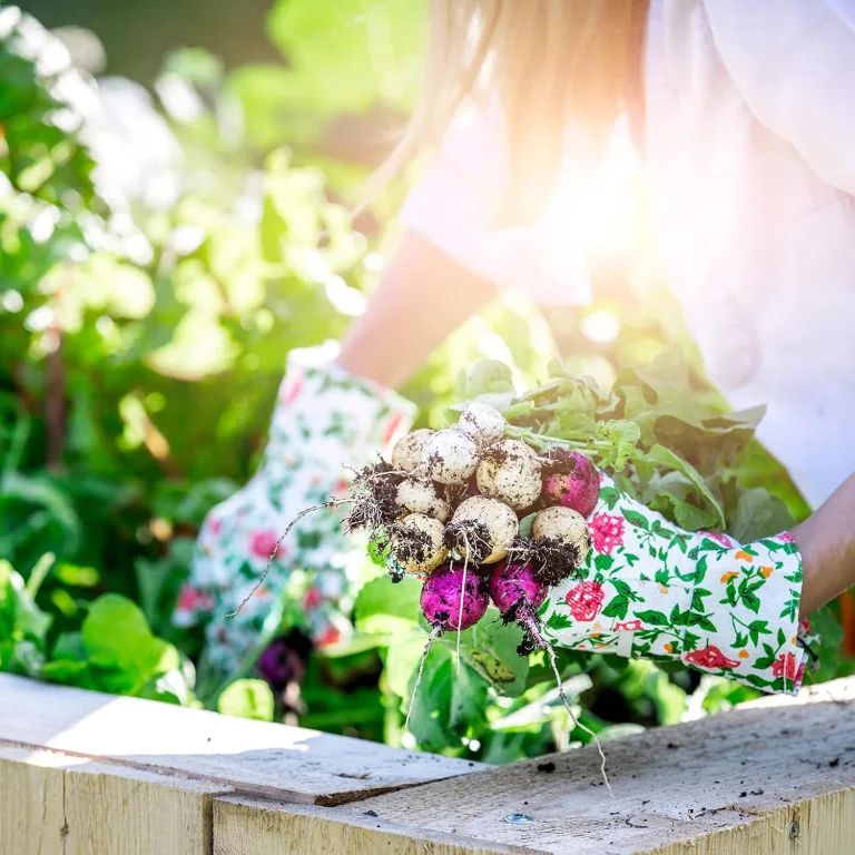 BIO Gartenjahr Samen Set I Gemüsesamen das ganze Jahr I 12 Monate Samen Gemüse I Gemüsesamen Set für Hochbeet, Balkon und Garten I Samen Set mit Gemüse Saatgut I 12er BIO Pflanzensamen Set – Bild 11