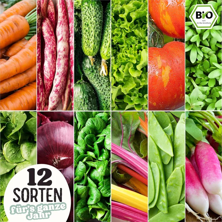 BIO Gartenjahr Samen Set I Gemüsesamen das ganze Jahr I 12 Monate Samen Gemüse I Gemüsesamen Set für Hochbeet, Balkon und Garten I Samen Set mit Gemüse Saatgut I 12er BIO Pflanzensamen Set – Bild 6