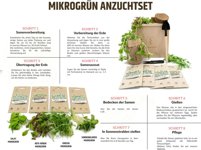 PUT DOWN ROOTS MIKROGRÜN ANZUCHTSET 4 Pflanzen Samen-Garten Starter-Set öko Saatgut mit Holzkiste mit Deckel, mini gewächshaus, kinderküche zubehör Kinder Anzuchtset – Bild 4