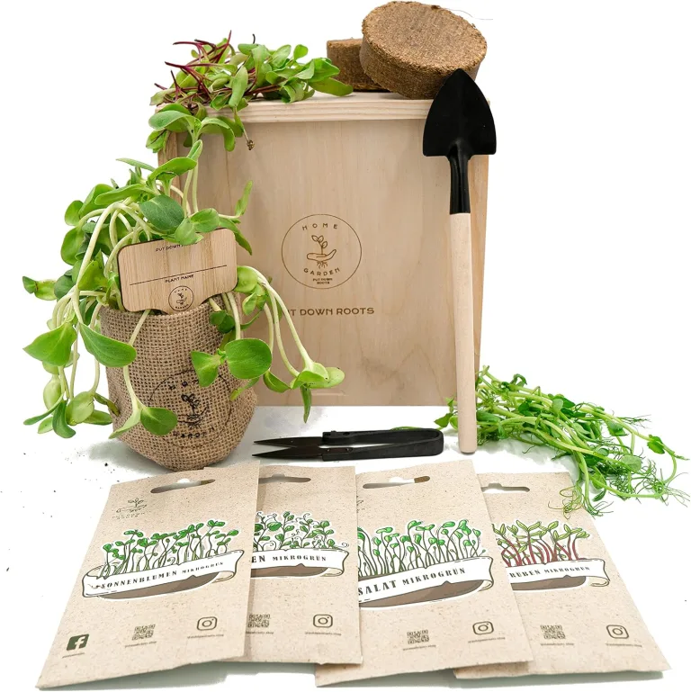 PUT DOWN ROOTS MIKROGRÜN ANZUCHTSET 4 Pflanzen Samen-Garten Starter-Set öko Saatgut mit Holzkiste mit Deckel, mini gewächshaus, kinderküche zubehör Kinder Anzuchtset – Bild 1