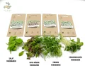PUT DOWN ROOTS MIKROGRÜN ANZUCHTSET 4 Pflanzen Samen-Garten Starter-Set öko Saatgut mit Holzkiste mit Deckel, mini gewächshaus, kinderküche zubehör Kinder Anzuchtset - Thumbnail 2