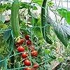 Ranknetz Verdickung Pflanzennetz mit Großer Maschenweite Rankhilfe Netz für Kletterpflanzen, Gurken,Tomaten und Anderen Gemüsepflanzen Gewächshaus Zubehör - 2m x 2.5m – Bild 2