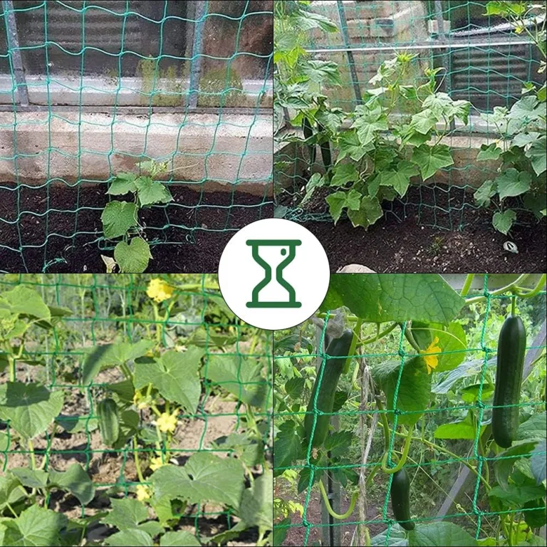Ranknetz Verdickung Pflanzennetz mit Großer Maschenweite Rankhilfe Netz für Kletterpflanzen, Gurken,Tomaten und Anderen Gemüsepflanzen Gewächshaus Zubehör - 2m x 2.5m – Bild 12