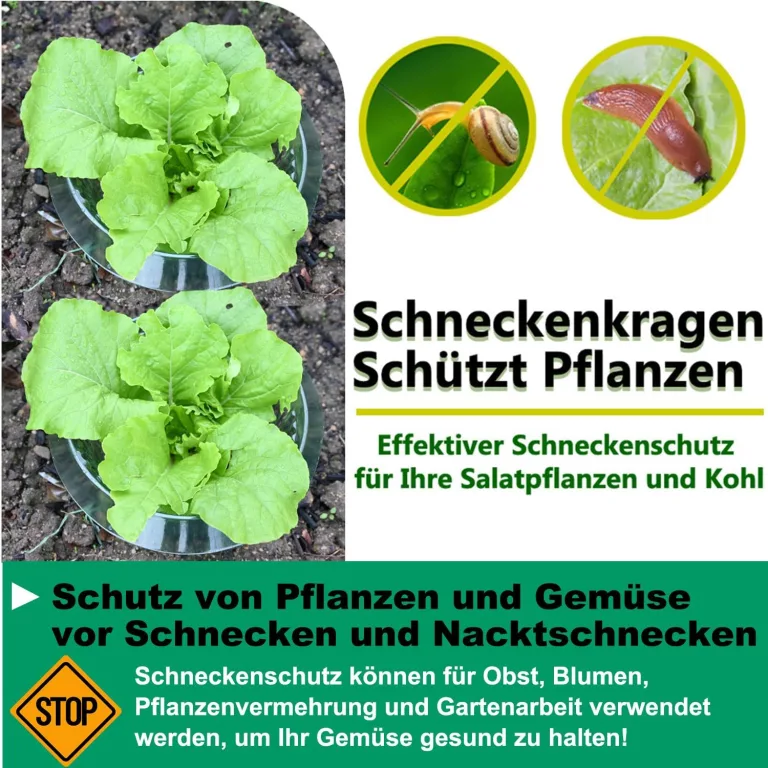 Upgrade Verstärkt Schnecken-Schutz | Schneckenkragen für Ihre Salatpflanzen und Kohl | Schneckenabwehr ohne Chemie |(68g/ stücke) – Bild 10