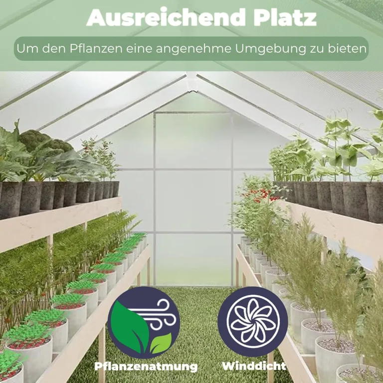 Gewächshaus Aluminium für den Garten |Mit 8 cm dickeres Fundament| 242*190*195 cm | Vielseitig nutzbar als Treibhaus Gartenhaus winterfest Aufzucht Tomatenhaus Frühbeet und Pflanzenhaus silber – Bild 6