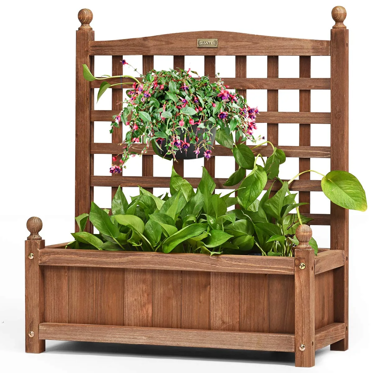 COSTWAY Blumenkasten mit Rankgitter, Pflanzkasten Holz, Hochbeet mit Spalier, Blumenkübel Rankhilfe, Gartenspalier Rankkasten für Kletterpflanze, Garten Terrasse Hinterhof, 64,5 x 28 x 75 cm, Braun - Bild 1