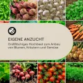 blumfeldt Rust Grow Hochbeet Gartenbeet, verzinktes Stahlblech, Materialstärke: 0,6 mm, einfache Montage, Rost-Finish, 200 x 60 x 100 cm (BxHxT) Rost - Thumbnail 5