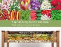 needs&wants® Großes Hochbeet aus Holz für Garten Balkon Terrasse, Pflanzkasten Bausatz XL rechteckig schmal mit Vlies-Folie, Kräuterbeet Pflanzenkasten deko, 121 x 63 x 75 cm, dunkel-braun - Thumbnail 5