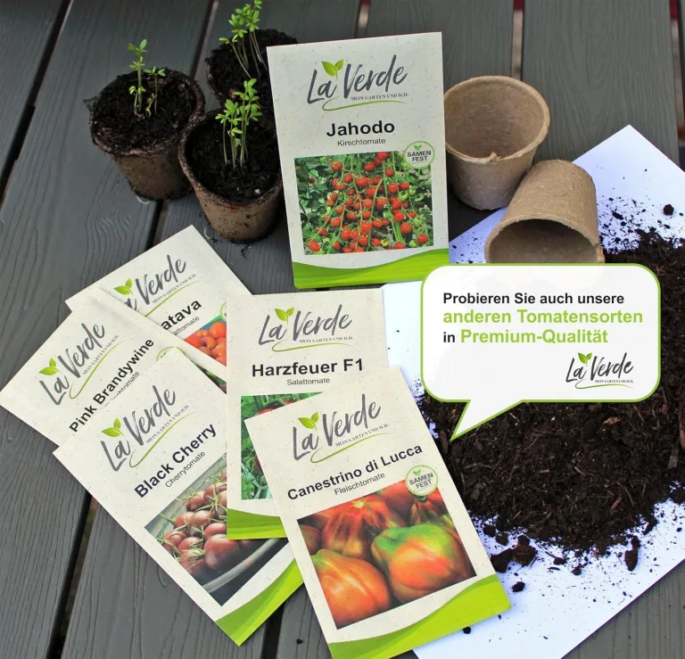 La Verde MEIN GARTEN UND ICH. Black Cherry Tomatensamen für ca. 10 Pflanzen, aromatische Kirschtomate, süß-fruchtige Früchte, Saatgut ohne Gentechnik – Bild 3