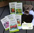 La Verde MEIN GARTEN UND ICH. Black Cherry Tomatensamen für ca. 10 Pflanzen, aromatische Kirschtomate, süß-fruchtige Früchte, Saatgut ohne Gentechnik - Thumbnail 4