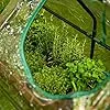 Grindi - Gewächshaus Foliengewächshaus mit PVC Folie und Fernster - Transparent, 120X60X60cm - Gewächshaus Klein Garten Balkon Winterfest Tomatenhaus für Optimales Pflanzenwachstum - Erica III - Thumbnail 2