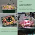 Mini Gewächshaus mit Licht, Anzucht Gewächshaus, Sonnenähnliche Pflanzenlichter mit vollem Spektrum, Anzuchtset Zimmergewächshaus Anzuchtkasten pflanzenlampe anzucht(2pack LED) - Thumbnail 5