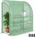 Outsunny Foliengewächshaus Tomatengewächshaus mit Mesh Fenster, Treibhaus mit aufrollbaren Türen, Anzuchthaus mit UV Schutz, Grün, 200 x 100 x 215 cm - Thumbnail 1