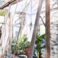 Loberon Gewächshaus Essone, mit Großem Fenster & Seitentüren, Wetterfest & Frostresistent, Authentisches Antik-Design, Gartenzubehör, Outdoor, Eisen, Acrylglas, antikbraun - Thumbnail 8