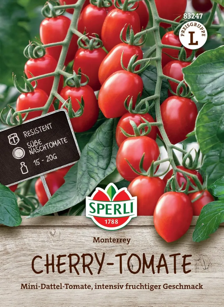 Sperli Salat-Tomatensamen Fantasio, F1 83461 - resistente Sorte - ertragreich - widerstandsfähig - für Gewächshaus - Samen Gemüse, Gemüse Pflanzen – Bild 9