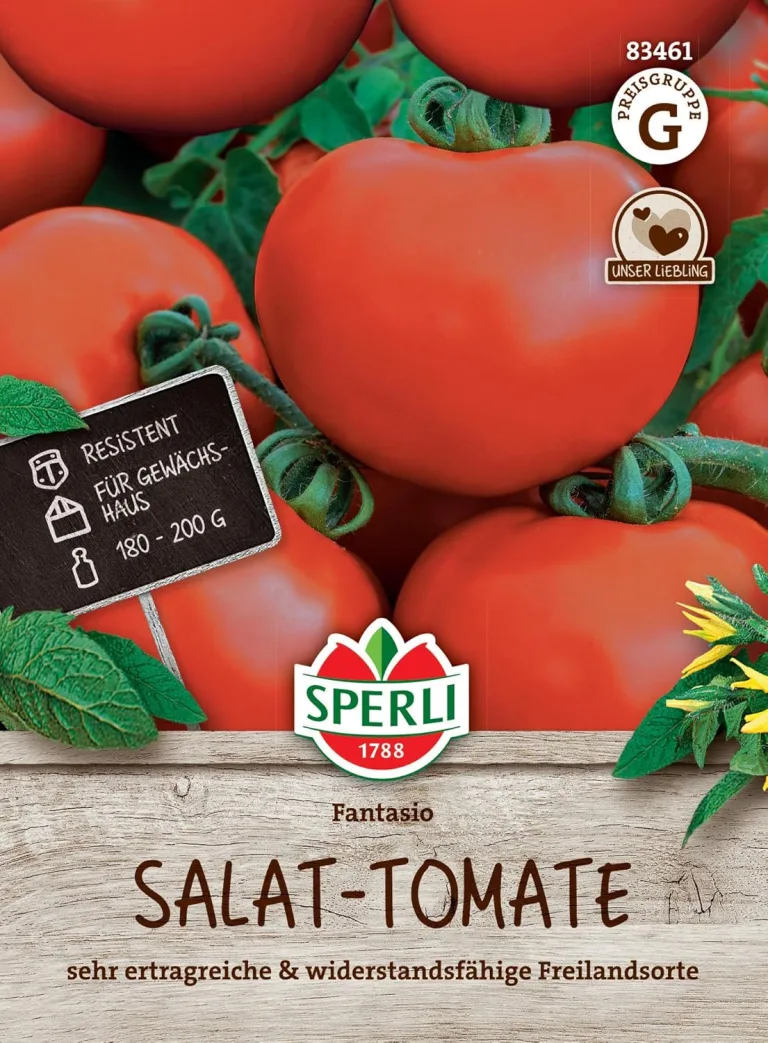 Sperli Salat-Tomatensamen Fantasio, F1 83461 - resistente Sorte - ertragreich - widerstandsfähig - für Gewächshaus - Samen Gemüse, Gemüse Pflanzen – Bild 1
