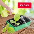 KADAX Mini-Gewächshaus mit 12 Zellen – Anzuchtkasten mit Deckel aus Kunststoff, ideale Anzuchtschale zur Pflanzenanzucht auf der Fensterbank - Thumbnail 7