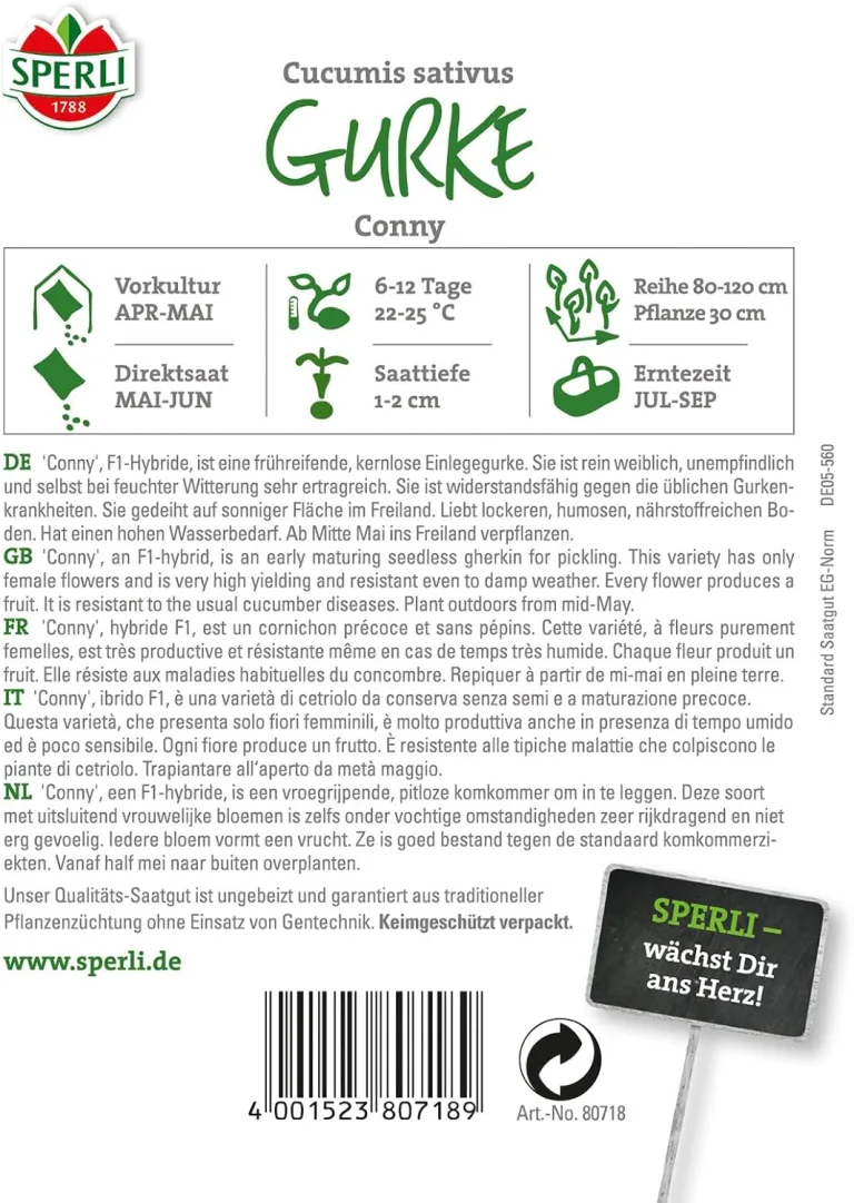 80718 Sperli Premium Gurken Samen Conny | Freilandgurke | Gewächshausgurke | Gurken Samen Freiland | Gurkensamen | Mini Gurken Samen | Freilandgurken Samen | Gurkensamen Gewächshaus | Samen Gurke | F1 – Bild 2