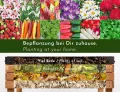 Großes Hochbeet aus Kirschbaum Holz für Garten Balkon Terrasse, Pflanzkasten Bausatz XL hochwertig rechteckig mit Innen-Folie, Kräuterbeet Pflanzenkasten deko, dunkel-braun schwarz - Thumbnail 6