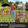 KESSER® Premium Foliengewächshaus Gewächshaus mit 4 Etagen - 69 x 50 x 158 cm Treibhaus mit 4 Regalen - Platzsparend, Hochwertiges Anzuchthaus Garten Balkon Stabil & Einfach zu Montieren - Thumbnail 2