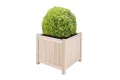 empasa Hochbeet Blumenkasten Kräuterbeet Frühbeet Pflanzkübel Pflanzkasten aus Holz für Garten, Balkon und Terrasse, Ausführung:Raise 1-125 x 59 x 76 cm - Thumbnail 10