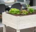 WESTMANN Hochbeet Frieda aus Holz | 75x119x79 cm Hell | Kräuterbeet für Garten & Terrasse | Holzhochbeet zum Bepflanzen | FSC® - Zertifiziert - Thumbnail 5