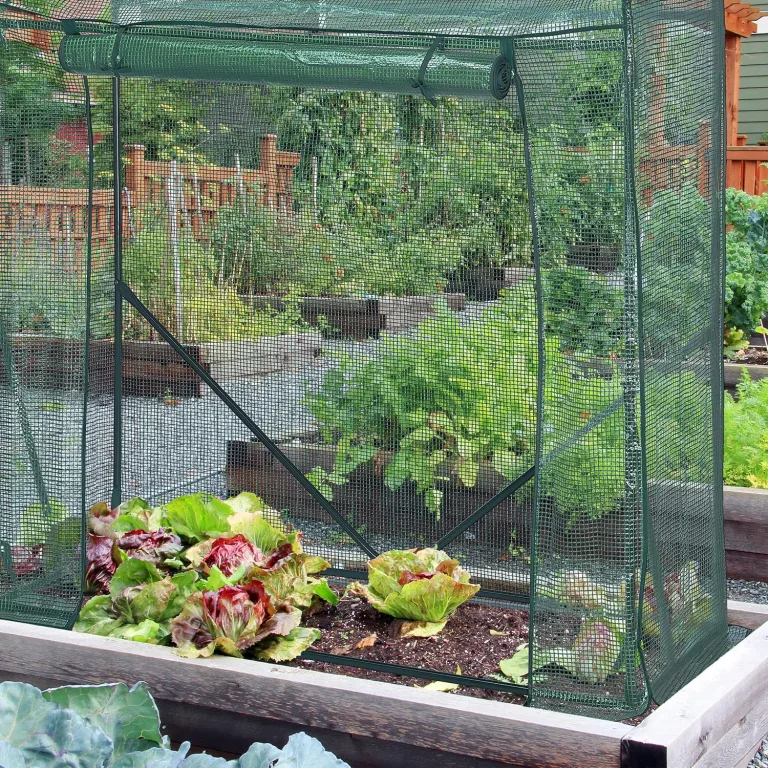 Relaxdays Tomaten Gewächshaus, HBT: 154 x 152 x 50 cm, Eisen & PE-Gitterfolie, stabiles Foliengewächshaus Garten, grün – Bild 5