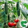 Rankhilfe Gurken Ranknetz für Gurken - Rankhilfe Garten Tomaten, Sehr Passend Netz für Kletterpflanzen Gewächshaus Zubehör, Pflanzennetz 180x270 für Garten Gewächshaus – Bild 2